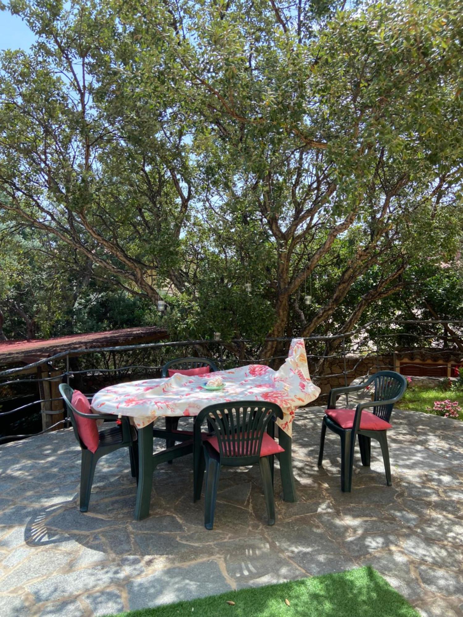 Case Vacanze Villa Rosita San Teodoro  Zewnętrze zdjęcie