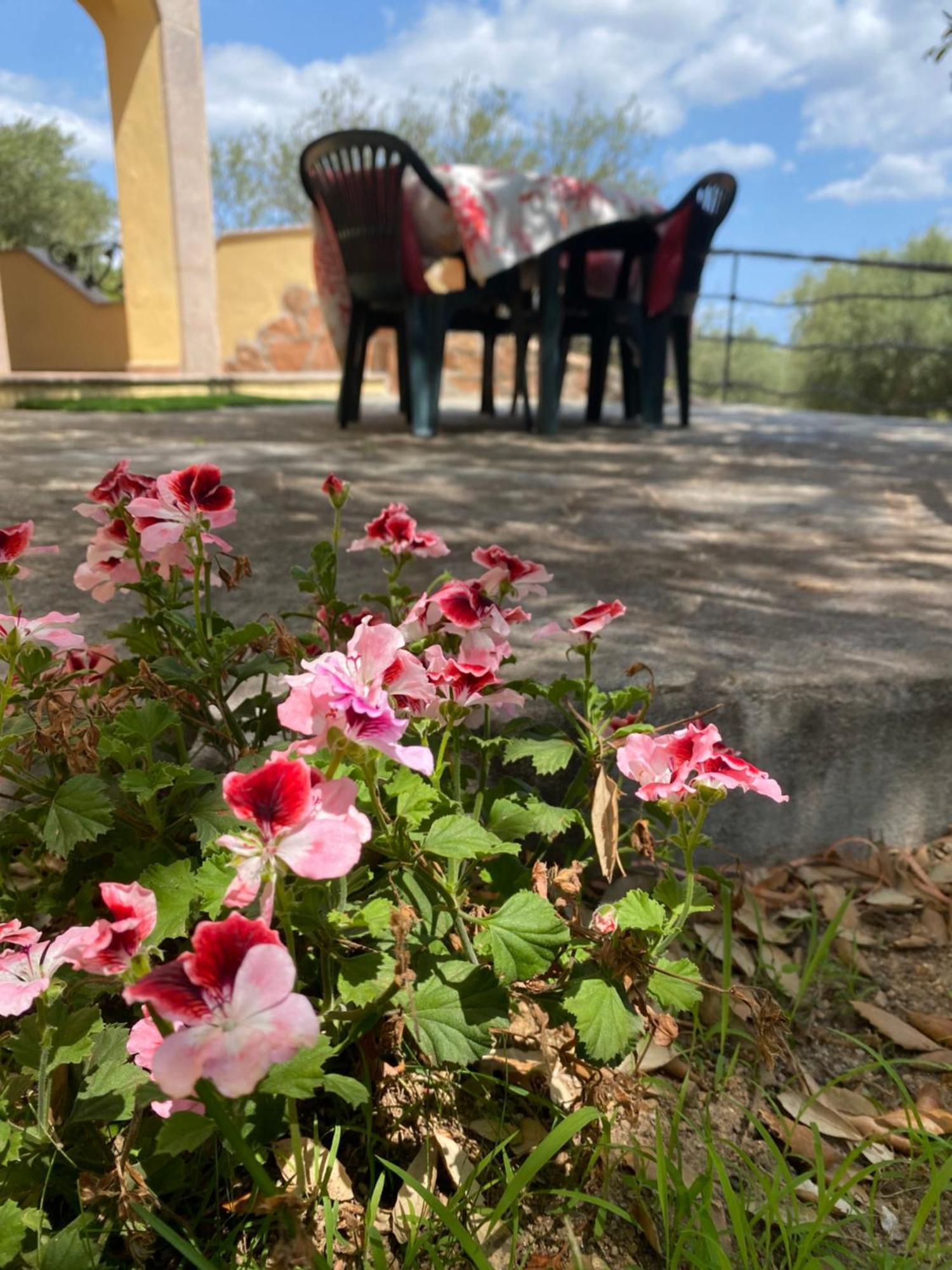 Case Vacanze Villa Rosita San Teodoro  Zewnętrze zdjęcie