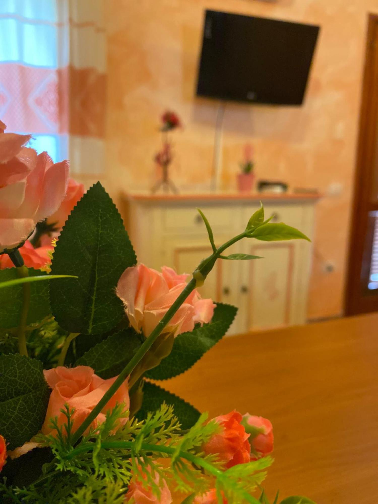 Case Vacanze Villa Rosita San Teodoro  Zewnętrze zdjęcie